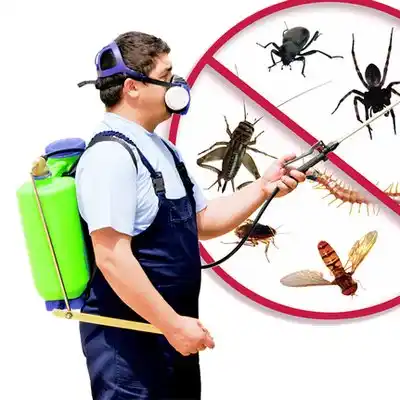 pest control Audubon